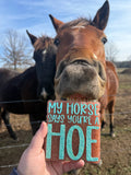 CUSTOM: My Horse Says You’re a Hoe