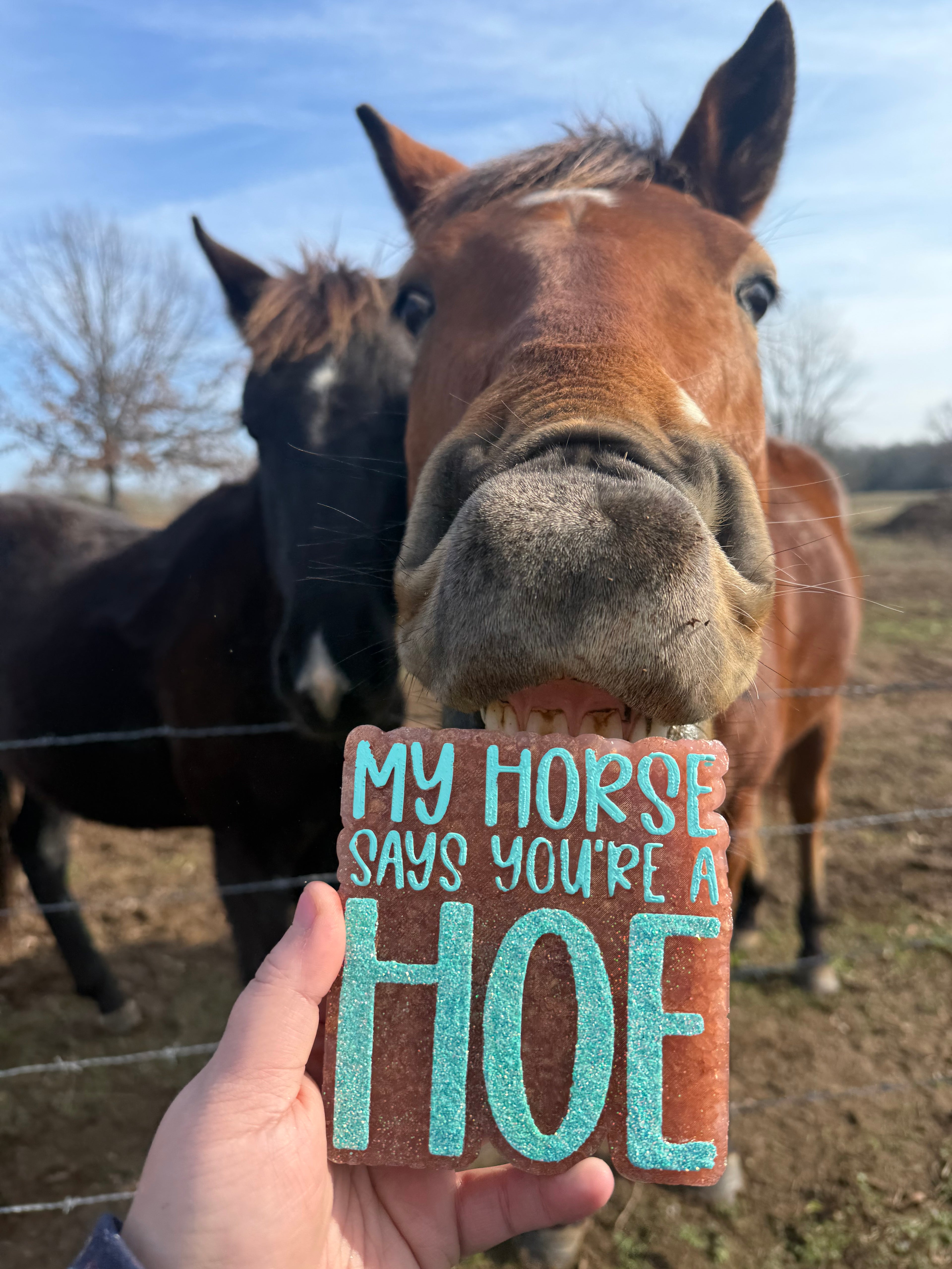 CUSTOM: My Horse Says You’re a Hoe