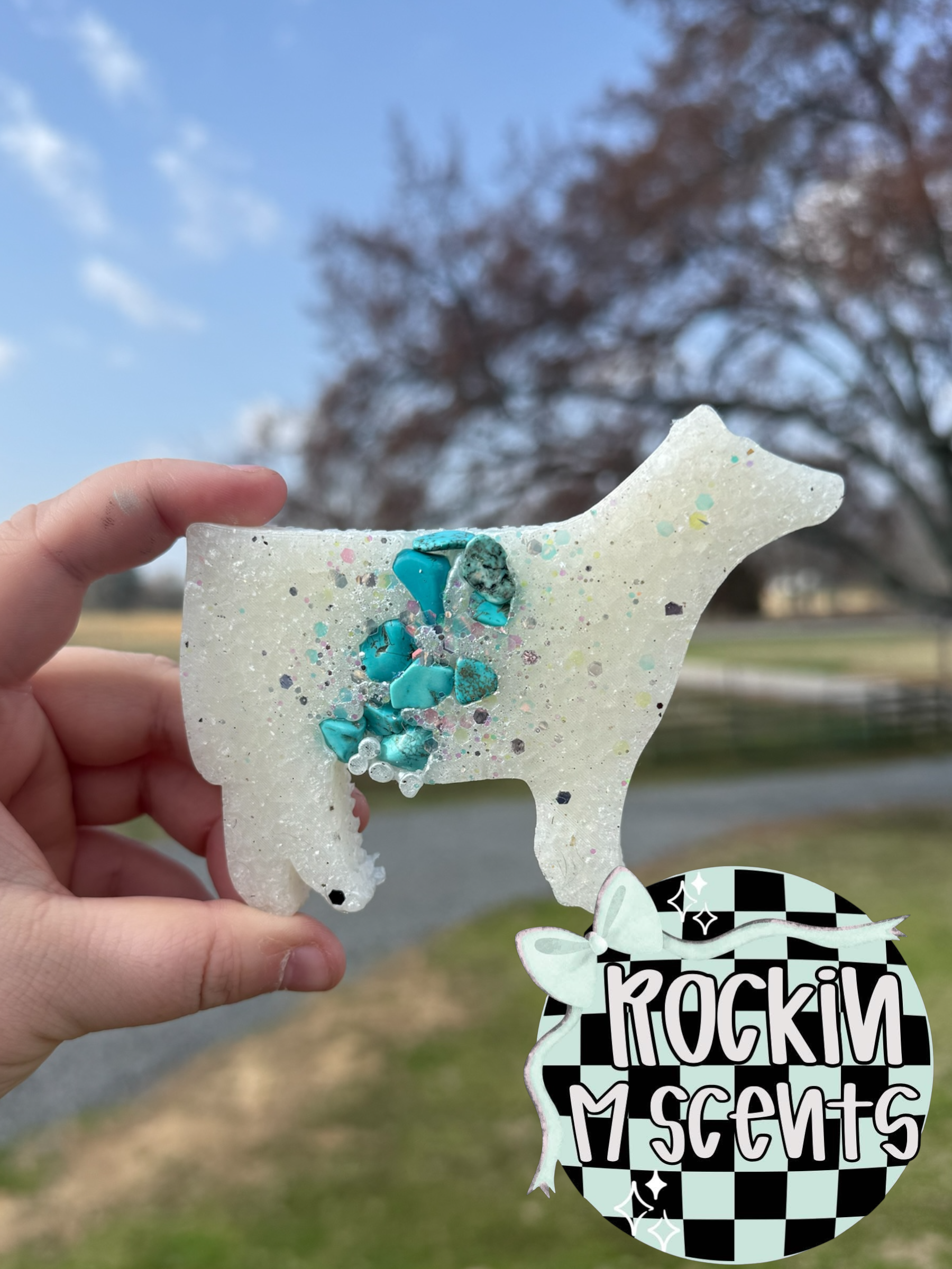 CUSTOM: Show Steer